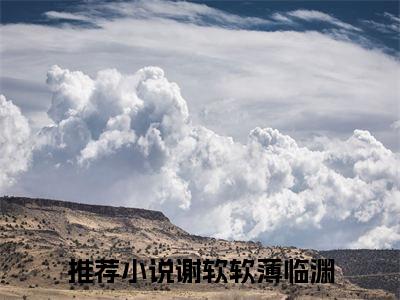 谢软软薄临渊(谢软软薄临渊)全文免费阅读无弹窗大结局_谢软软薄临渊(谢软软薄临渊小说全文大结局)全章节免费在线阅读（谢软软薄临渊）