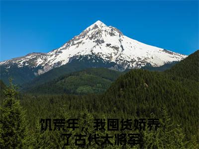 饥荒年，我囤货娇养了古代大将军是什么小说-叶苜苜免费小说在线阅读