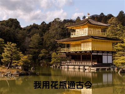 （我用花瓶通古今）叶苜苜战承胤无弹窗免费阅读我用花瓶通古今大结局无删阅读_笔趣阁