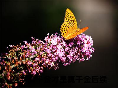 玄学假千金才是真千金小说全文（沐汐晚夜墨焱）免费阅读全文无弹窗大结局_沐汐晚夜墨焱免费阅读无弹窗小说_笔趣阁