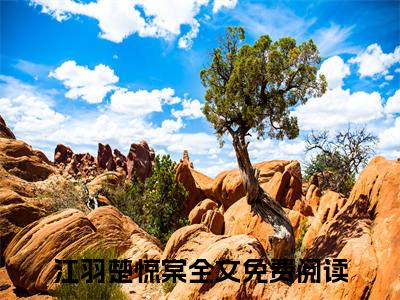 江羽楚惊棠（江羽楚惊棠）全文免费阅读大结局-江羽楚惊棠最新章节列表免费阅读大结局