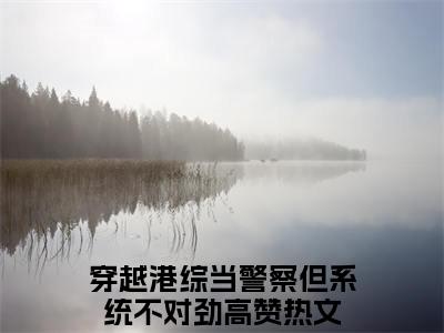 宋世杰穿越港综当警察但系统不对劲抖音热推新书小说全文阅读（穿越港综当警察但系统不对劲）全文免费阅读大结局
