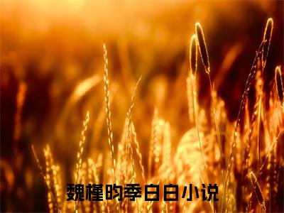魏槿昀季白白（魏槿昀季白白）小说全文免费阅读无弹窗-魏槿昀季白白小说全文免费阅读大结局笔趣阁