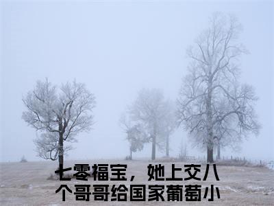 七零福宝，她上交八个哥哥给国家葡萄（七零福宝，她上交八个哥哥给国家葡萄）全文免费阅读无弹窗大结局_(七零福宝，她上交八个哥哥给国家葡萄最新章节在线阅读)_笔趣阁