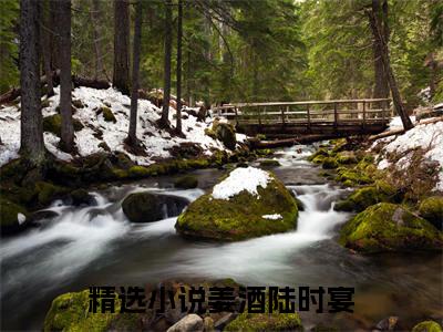 姜酒陆时宴小说（姜酒陆时宴）全文免费阅读无弹窗大结局_姜酒陆时宴小说最新章节列表