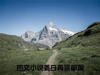 姜白苒贺郁琛高质量热文推荐试读-姜白苒贺郁琛完整章节阅读