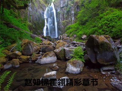 赵如锦霍翎（穿成国公府长媳的日常）全文免费阅读无弹窗_穿成国公府长媳的日常最新小说_笔趣阁