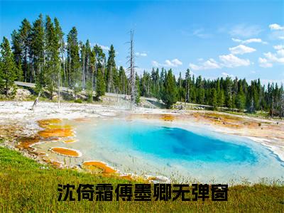 沈倚霜傅墨卿小说在线阅读（沈倚霜傅墨卿）全文免费阅读大结局_沈倚霜傅墨卿最新章节列表笔趣阁
