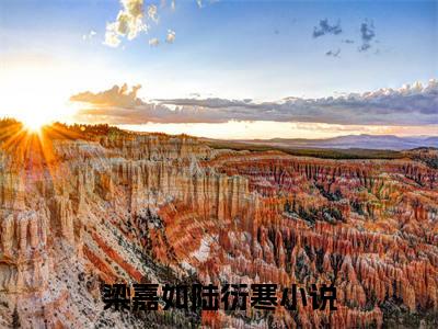 梁嘉如陆衍寒全文免费阅读无弹窗大结局_梁嘉如陆衍寒(梁嘉如陆衍寒)小说结局免费阅读（梁嘉如陆衍寒）
