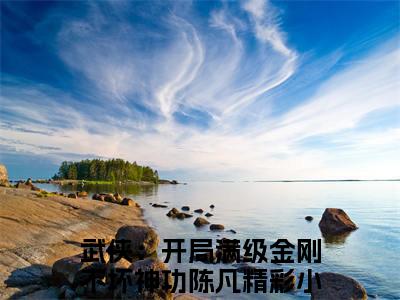 主角叫武侠：开局满级金刚不坏神功陈凡的小说在哪阅读武侠：开局满级金刚不坏神功陈凡是主角的小说