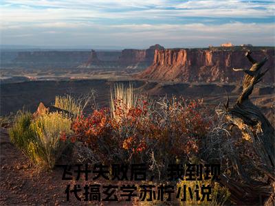 飞升失败后，我到现代搞玄学苏柠免费阅读无广告 （飞升失败后，我到现代搞玄学苏柠大结局免费阅读）飞升失败后，我到现代搞玄学苏柠是啥小说