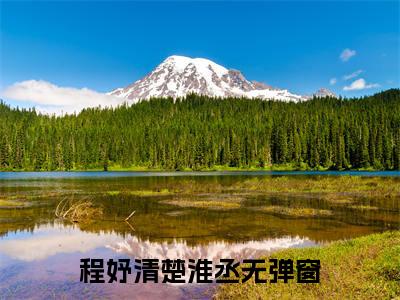 程妤清楚淮丞小说免费(程妤清楚淮丞)全文免费阅读无弹窗（程妤清楚淮丞小说）最新章节列表_笔趣阁