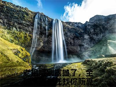 老祖宗别摆摊了，全球富豪都在找你阮夏高人气小说-老祖宗别摆摊了，全球富豪都在找你阮夏全文阅读下拉式