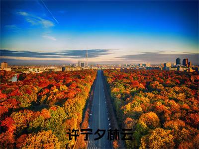 许宁夕林云分享一本言情小说 许宁夕林云免费章节试读