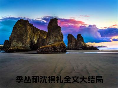 季丛郁沈祺礼小说全文无删减-季丛郁沈祺礼小说大结局免费阅读