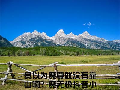 真以为魔尊就没有靠山啊？魔无极是什么小说 真以为魔尊就没有靠山啊？魔无极正版小说免费阅读_笔趣阁