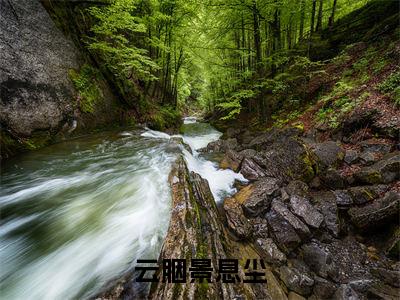 云胭景息尘小说完整版全文在线赏析-完结版小说（云胭景息尘）