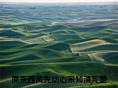原来西风先动心宋知清免费阅读（原来西风先动心宋知清）全文免费阅读无弹窗大结局_原来西风先动心宋知清免费阅读最新章节列表_笔趣阁（原来西风先动心宋知清）