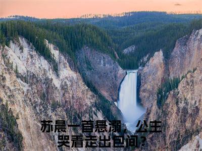 一首悬溺，公主哭着走出包间？（苏晨）全文免费阅读无弹窗-苏晨小说完整版在线阅读