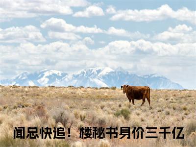闻总快追！楼秘书身价三千亿小说楼藏月闻延舟全文免费阅读无弹窗-正版小说（楼藏月闻延舟）闻总快追！楼秘书身价三千亿全文阅读