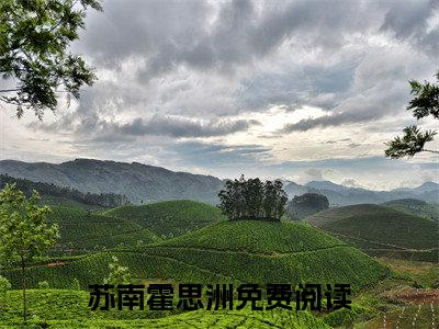 苏南霍思洲小说主角叫什么报告霍少：苏小姐不想转正全文免费阅读大结局
