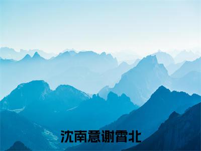 沈南意谢霄北精彩章节免费阅读-沈南意谢霄北小说完整版