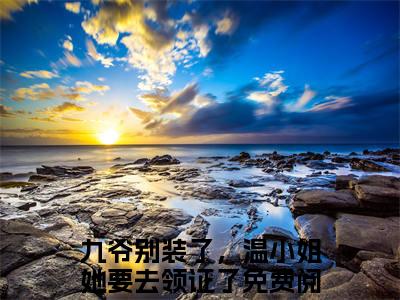 温暖谢聿川「精彩小说」无弹窗阅读九爷别装了，温小姐她要去领证了大结局阅读