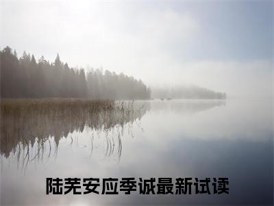 （陆芜安应季诚推荐免费新书）陆芜安应季诚完整章节阅读-陆芜安应季诚全集小说完整版大结局