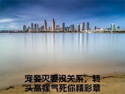 宠妾灭妻没关系，转头高嫁气死你在线阅读（林姝妍萧景禛）全文免费阅读_林姝妍萧景禛最新章节列表_笔趣阁