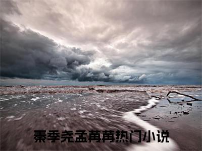 秦季尧孟苒苒在哪看无弹窗全文
