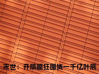 末世：开局疯狂囤货一千亿叶辰最新章节（末世：开局疯狂囤货一千亿叶辰）全文免费阅读无弹窗大结局_末世：开局疯狂囤货一千亿叶辰免费阅读（末世：开局疯狂囤货一千亿叶辰）