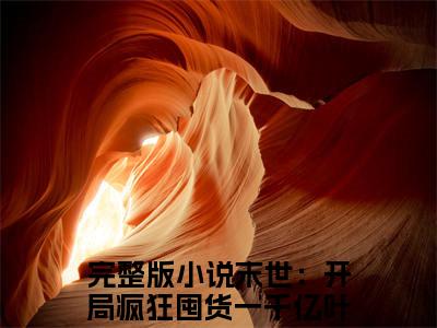 末世：开局疯狂囤货一千亿叶辰正版小说全文阅读-末世：开局疯狂囤货一千亿叶辰（末世：开局疯狂囤货一千亿叶辰）小说在线阅读