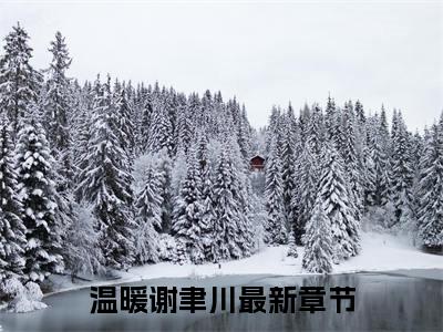 温暖谢聿川（温暖谢聿川）全文免费阅读无弹窗大结局_温暖谢聿川热门小说最新章节阅读