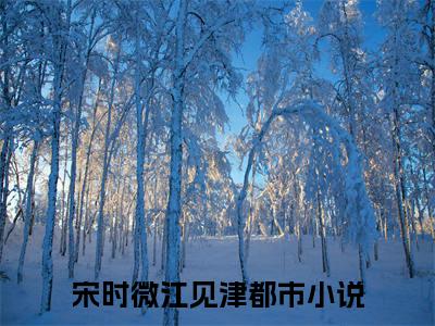 宋时微江见津（宋时微江见津全集无弹窗阅读）宋时微江见津已完结小说全集完整版大结局笔趣阁（宋时微江见津）最新章节列表_笔趣阁