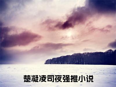 楚凝凌司夜（分手后，前任小舅对我低声诱哄）小说-楚凝凌司夜小说免费最新章节列表