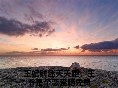 王妃财迷天天跑，王爷是个恋爱脑（楚安宁君尘渊）小说全文在线阅读_王妃财迷天天跑，王爷是个恋爱脑最新章节在线阅读_笔趣阁