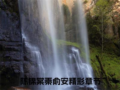陈锦棠秦俞安（陈锦棠秦俞安）全文免费阅读无弹窗大结局_(陈锦棠秦俞安)免费阅读无弹窗最新章节列表