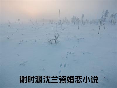 谢时渊沈兰瓷全文免费阅读无弹窗大结局_ （谢时渊沈兰瓷完结）谢时渊沈兰瓷小说最新章节列表