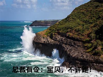 总裁有令：宝贝，不许跑！（秦恩甜陆令山）小说在线阅读_总裁有令：宝贝，不许跑！免费阅读笔趣阁（秦恩甜陆令山）