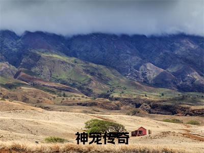 神宠传奇叶凡完结小说-叶凡全文免费阅读无弹窗