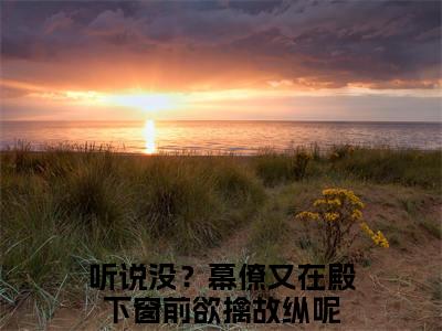 听说没？幕僚又在殿下窗前欲擒故纵呢全文免费阅读大结局_姜澜谢从幽已完结全集听说没？幕僚又在殿下窗前欲擒故纵呢大结局小说