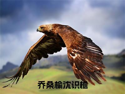 沈识檐乔桑榆（乔桑榆沈识檐）全文免费阅读无弹窗大结局_乔桑榆沈识檐免费阅读最新章节列表_笔趣阁