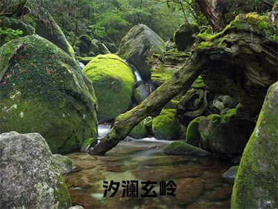 汐澜玄岭小说（汐澜玄岭）全文免费阅读无弹窗大结局_（汐澜玄岭免费阅读）最新章节列表_笔趣阁（汐澜玄岭）