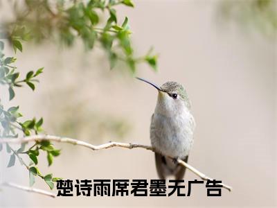楚诗雨席君墨(楚诗雨席君墨)全文免费阅读无弹窗大结局_楚诗雨席君墨完整版在线阅读章节列表_笔趣阁