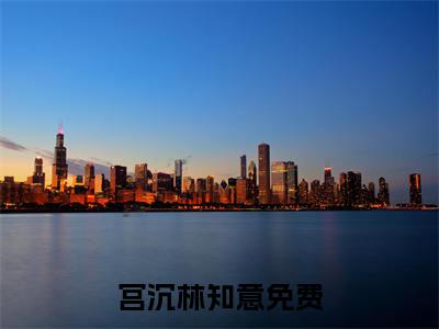 宫沉林知意（宫沉林知意）全文免费阅读无弹窗大结局_(宫沉林知意小说免费阅读)最新章节_笔趣阁