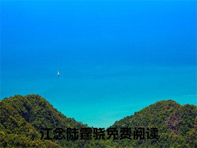 江念陆霆骁全文免费阅读无弹窗(小说全文免费阅读)江念陆霆骁最新章节列表_笔趣阁