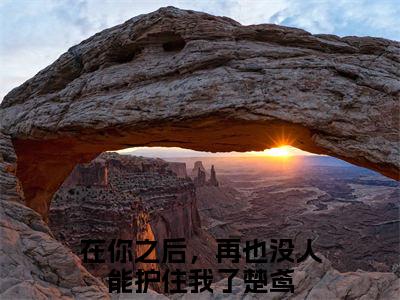 在你之后，再也没人能护住我了楚鸢（在你之后，再也没人能护住我了楚鸢）全集免费阅读无弹窗_在你之后，再也没人能护住我了楚鸢正版小说免费阅读