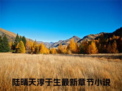 陆晴天淳于生无广告小说全文免费阅读无弹窗大结局-陆晴天淳于生在线阅读