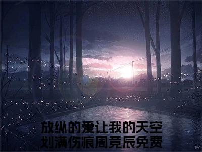 放纵的爱让我的天空划满伤痕周竟辰小说免费阅读-精选好书放纵的爱让我的天空划满伤痕周竟辰