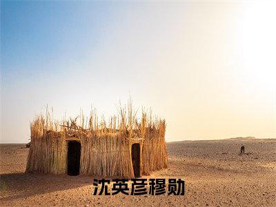 《沈英彦穆勋》全文免费阅读无弹窗大结局-沈英彦穆勋 全文全章节免费阅读